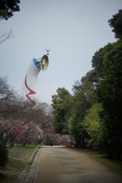 太陽の塔と梅林