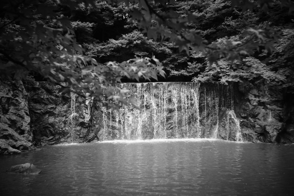 鶴見緑地の滝