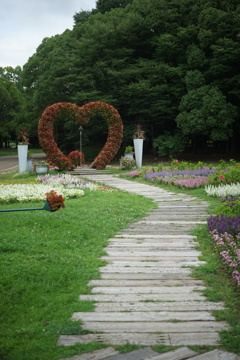 ハート花壇