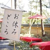 おやすみどころ
