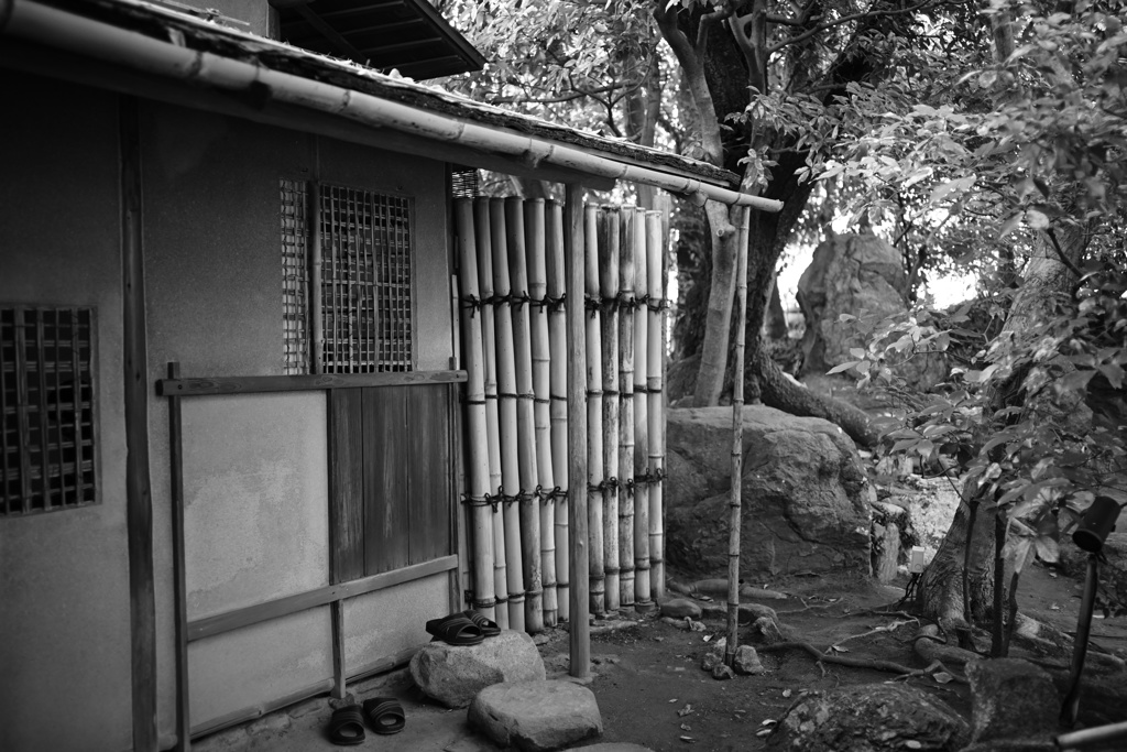庭園の一角