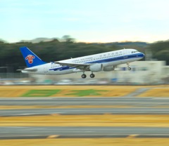 飛行機ー！！