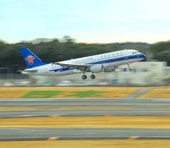 飛行機ー！！