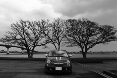 THREE TREES