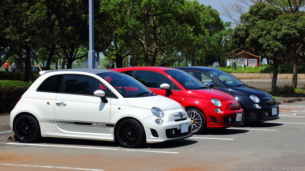 3COLOR CARS