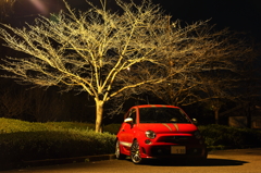 桜の木とアバルト