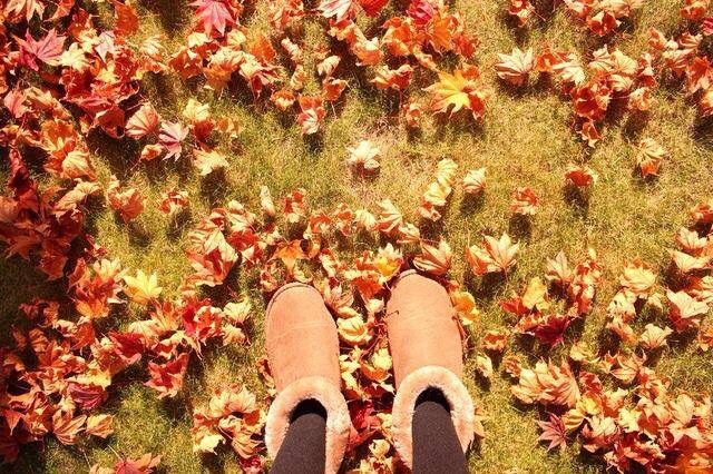 紅葉