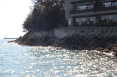 キラキラ海