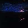 宙を泳ぐ