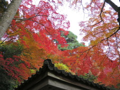 有馬温泉・瑞宝寺他0102
