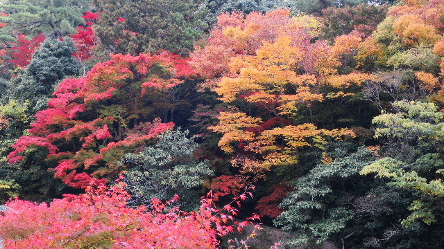 有馬温泉・瑞宝寺他0122