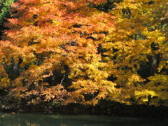 錦秋の六甲山・三国池