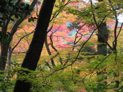 有馬温泉・瑞宝寺他0099