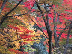 有馬温泉・瑞宝寺他0113