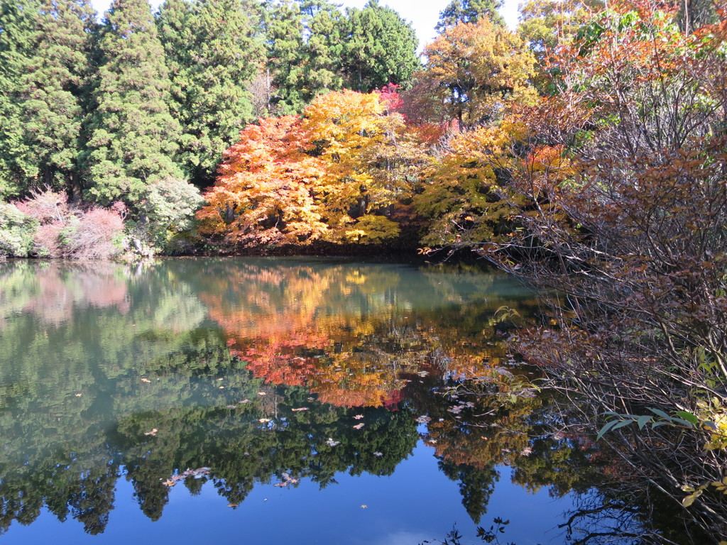 錦秋の六甲山・三国池