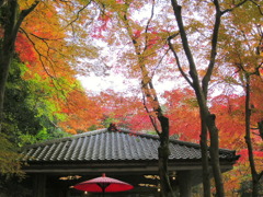 有馬温泉・瑞宝寺他0106