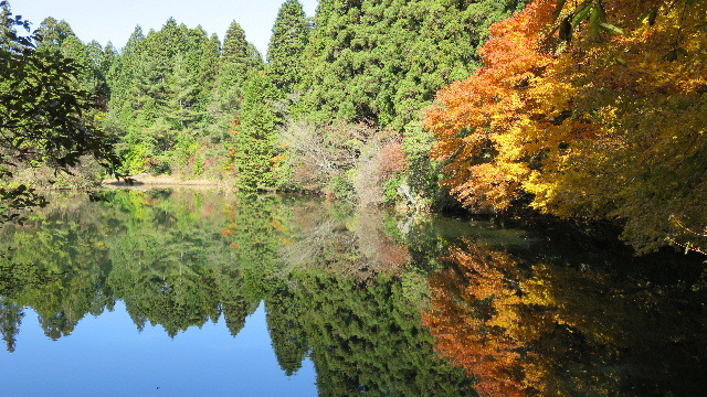 錦秋の六甲山・三国池