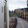 PENTAX K-50 / ISO200 f1.8
