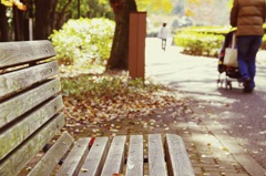 PENTAX K-50 / ISO200 f5.6