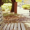 PENTAX K-50 / ISO200 f5.6