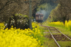 PENTAX K-50 / ISO200 f5.6