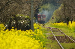 PENTAX K-50 / ISO200 f5.6