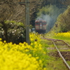 PENTAX K-50 / ISO200 f5.6