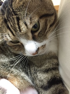 甘えんボー