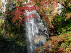 箕面の滝