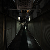 『 栄枯盛衰 』