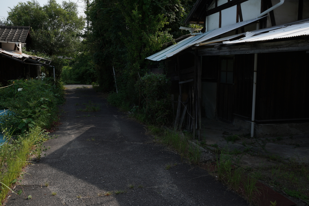 『 見えにくい部分に写真は宿る 』