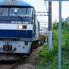 迫りくる貨物列車！