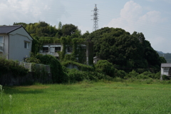 『 役割の終わった風景 』