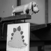 『看板犬』
