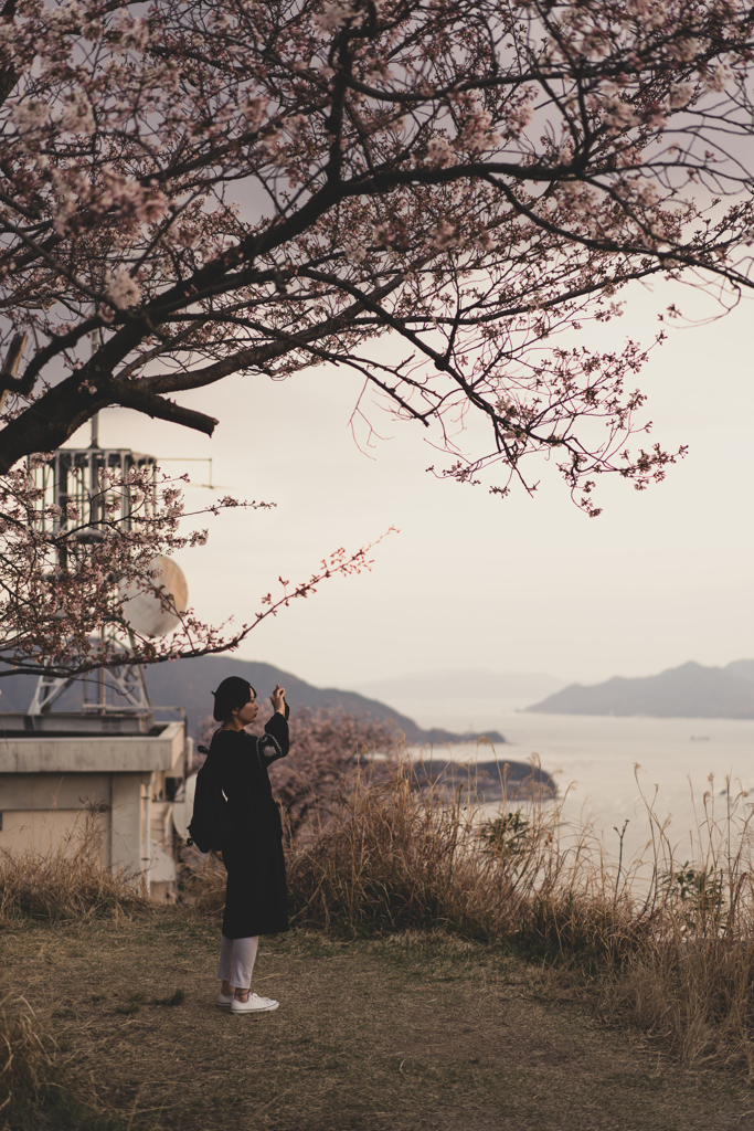 花 より 夕陽