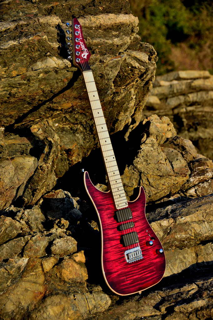 Vigier