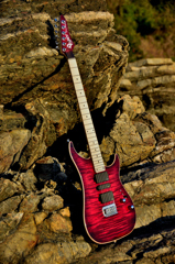 Vigier
