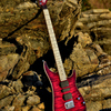 Vigier