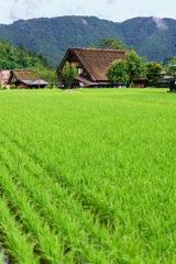 日本の原風景