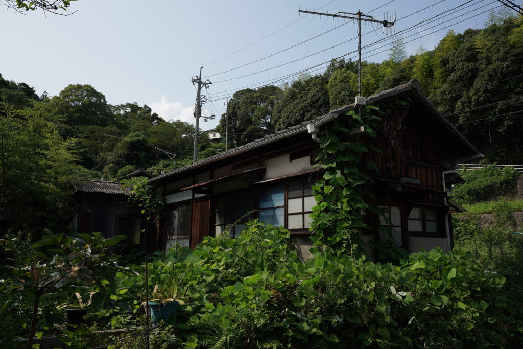 『 住人(草) 』