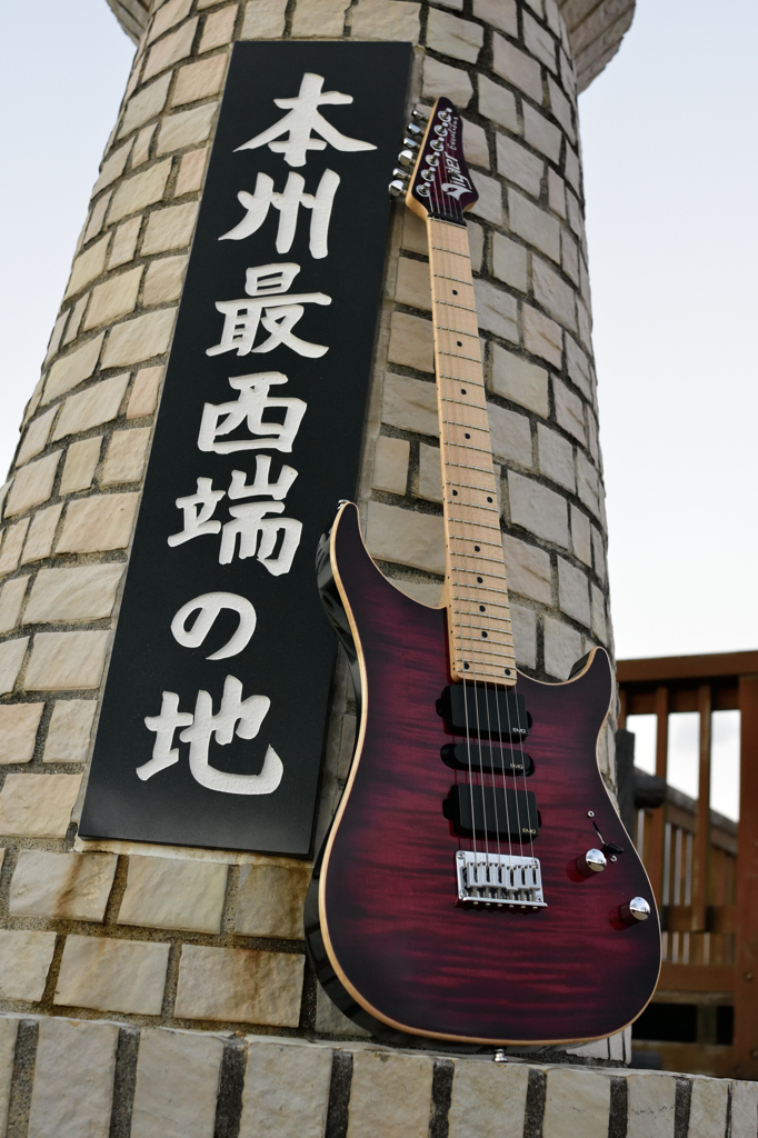 Vigier