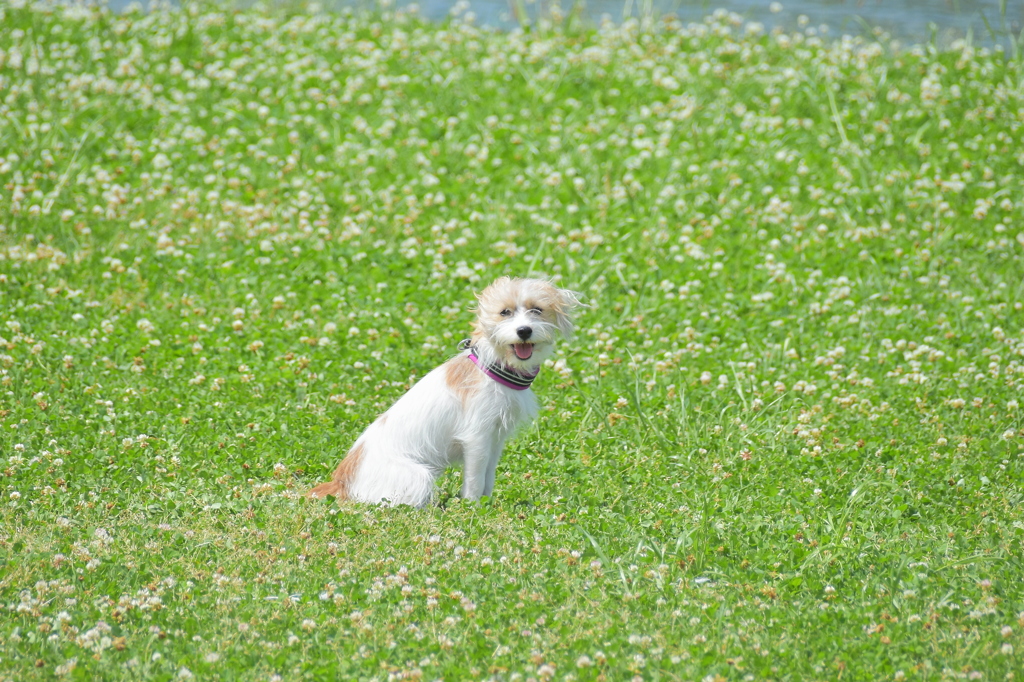 DSC_4183