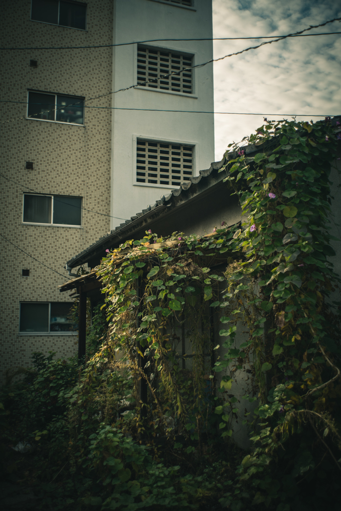 静寂
