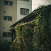 静寂