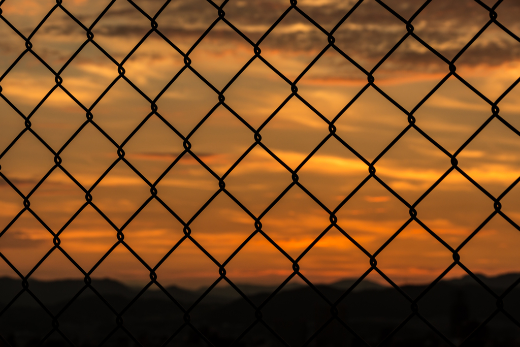 DSC_6584-2