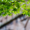『水楼閣』