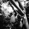 『 鳥居に神聖な感覚を感じるのはほんまに日本人だけ？ 』