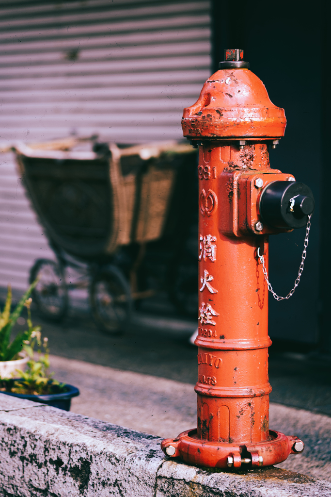『常用』の守護者。