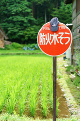 防火水そう氏