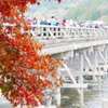 渡月橋～紅の季節～